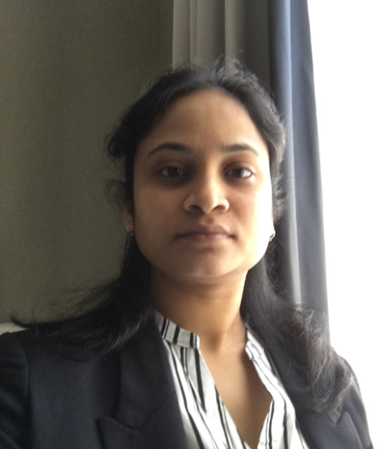 Processing of UHTCMCs using Microwave/Radiofrequency enhanced chemical vapour infiltration process